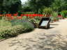 impression-5