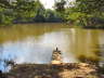 memory-12