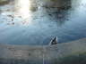 pictures 001