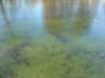 pictures 012