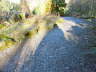 pictures 019