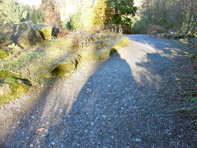 pictures 019