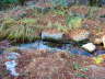 pictures 063
