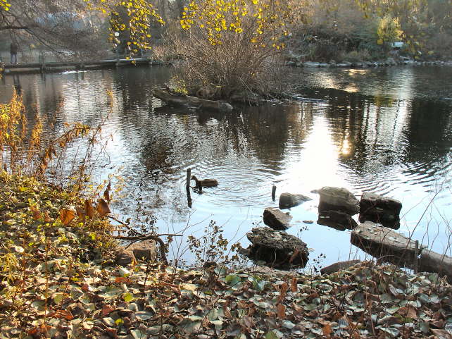 pictures 068