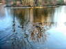 pictures 074