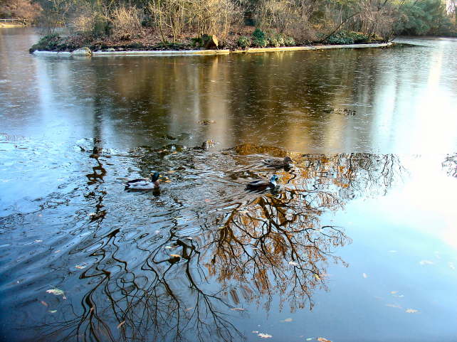 pictures 074