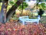 pictures 202