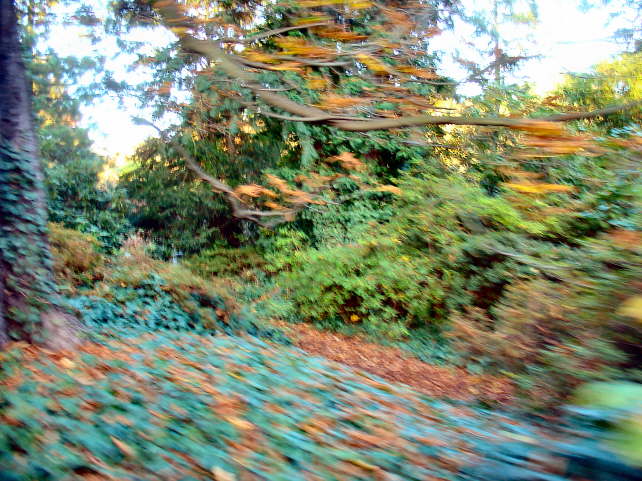 pictures 224