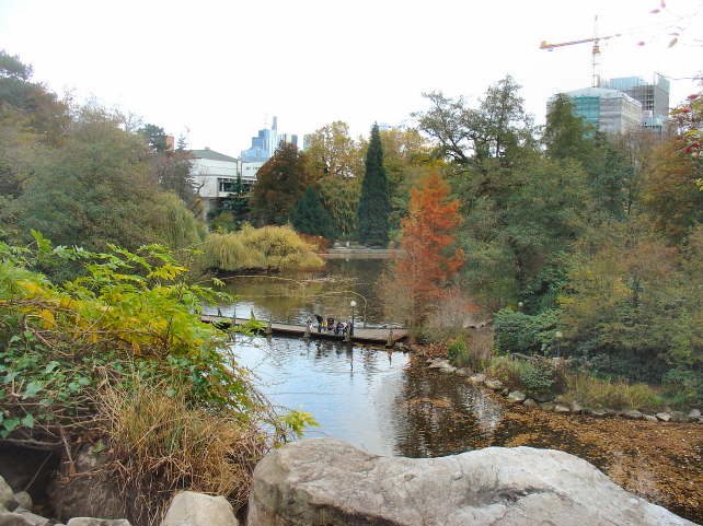 pictures 274