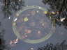 spot-5