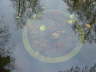spot7