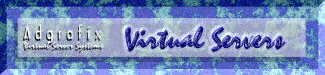 Virtual Server Systems